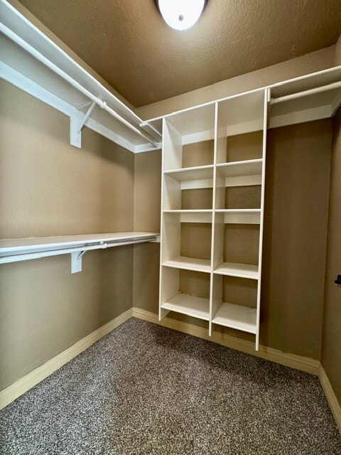 Building Photo - 3503 N Robin Ct