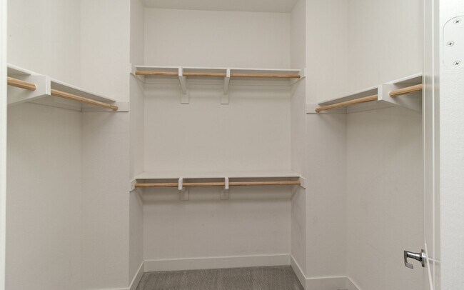 Building Photo - 3138 Asto Pl