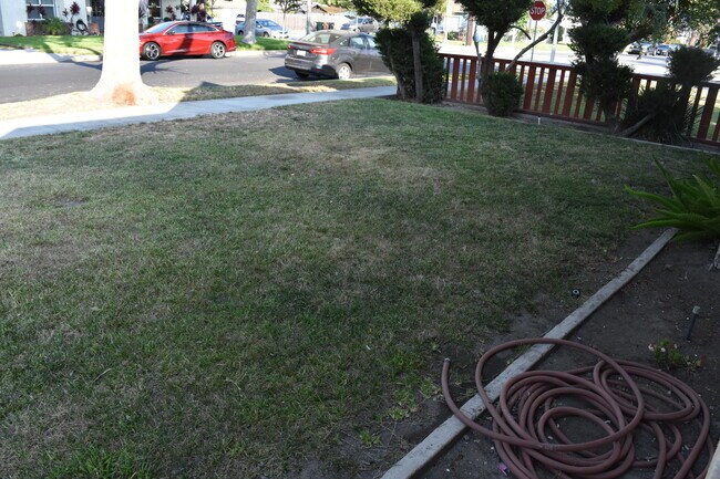 Front Lawn - 423 S Indiana St