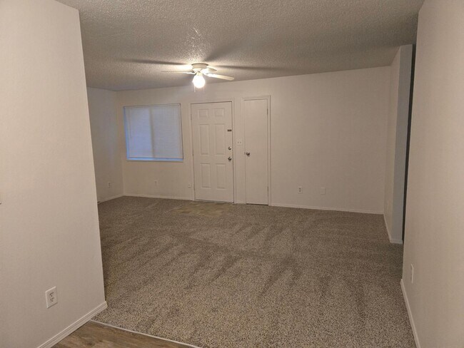 Building Photo - 211 N Shields St