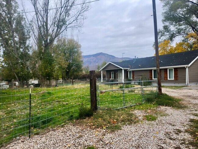 Primary Photo - 4 Bed/2 Bathroom house in Farr West