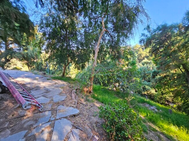 Building Photo - 4515 San Taela Ct