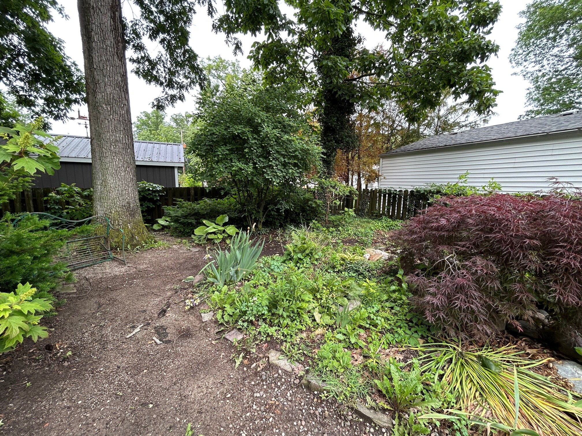 Back Garden - 28008 Sites Rd