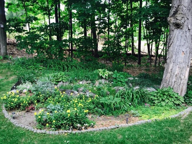 Building Photo - 32 Birchwood Dr