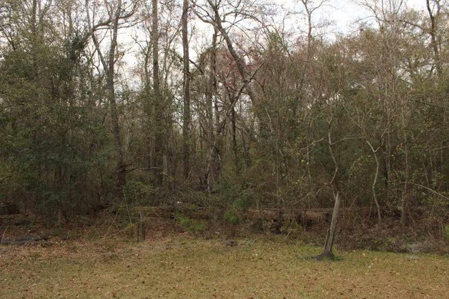 Building Photo - 65 Noble Rd