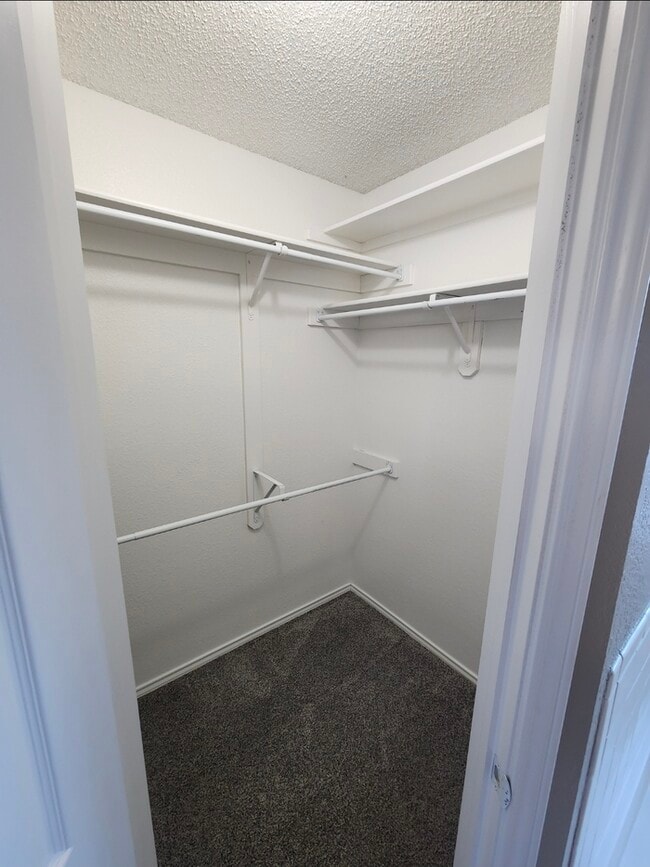 Building Photo - 3 bed 2 bath 2 car garage