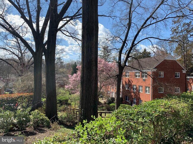 Building Photo - 3512 Gunston Rd