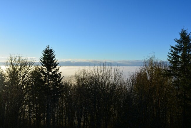 Building Photo - Amazing 4 bedroom home on Tumwater Hill!!