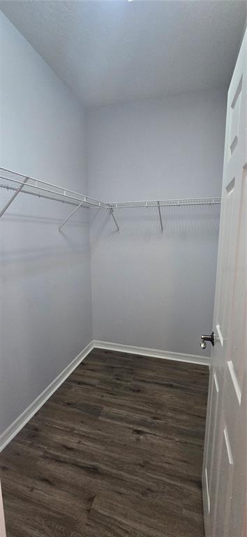 Building Photo - 7214 Beakrush Ln