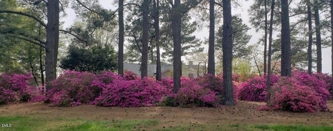 Building Photo - 7509 NC-27