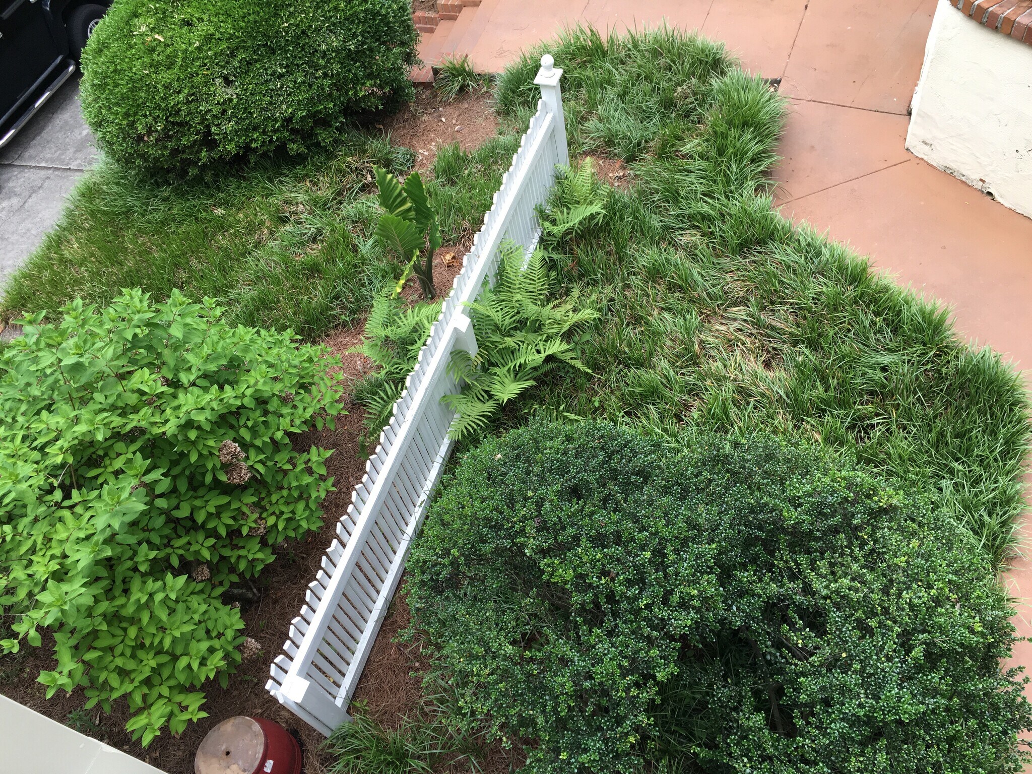 View from deck/porch - 2925 10th Ct S