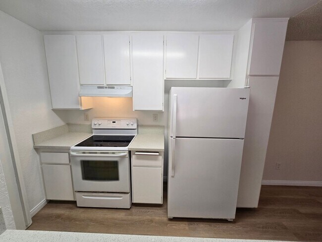 Building Photo - Beautifully Renovated Ground-Floor 2 Bedroom – Over 900 Sq. Ft.!