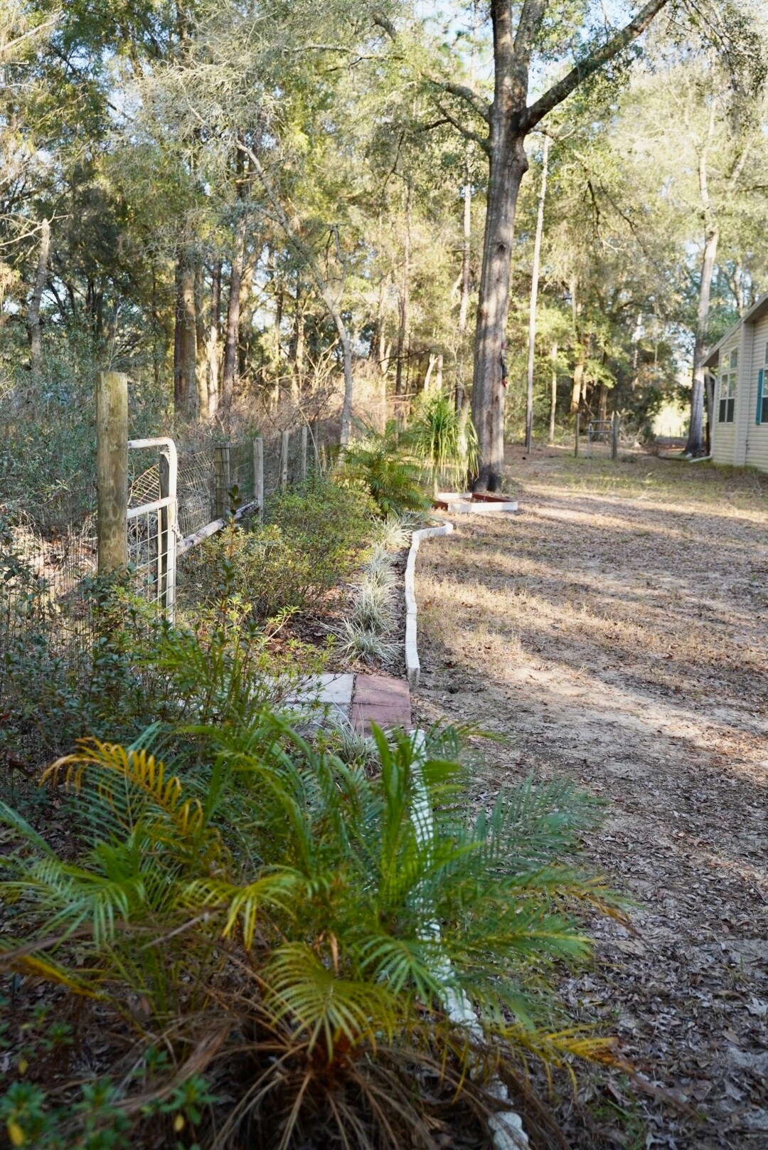 Building Photo - 29205 Saddle Oaks Ln