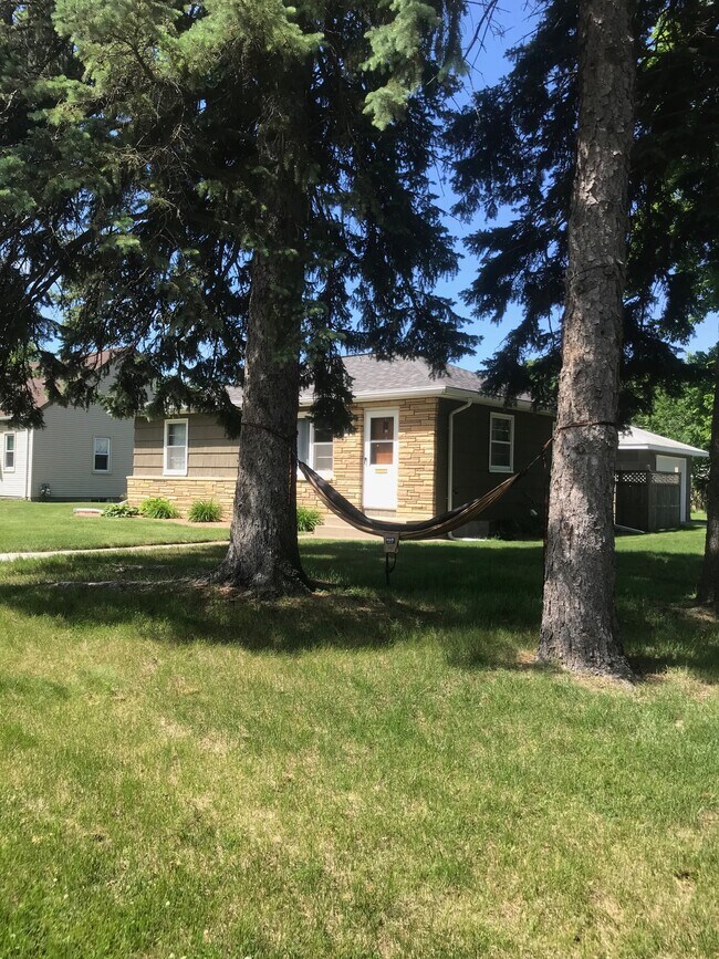 Hamock between the mature pines - 6400 1st Ave S