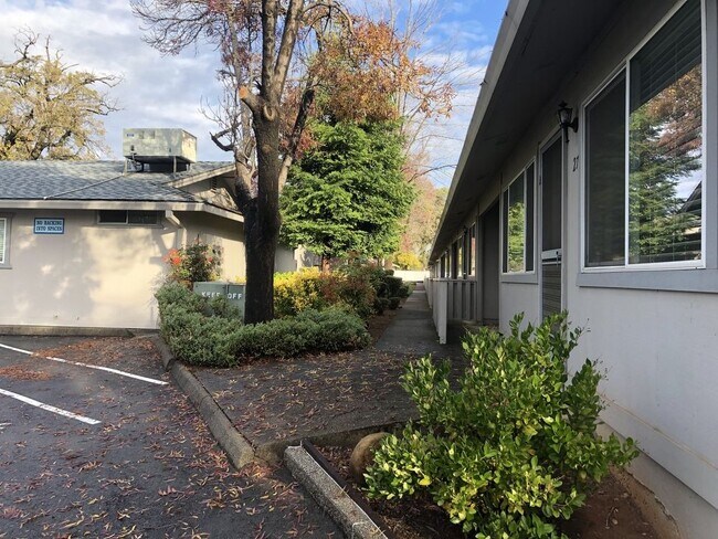 Building Photo - 3629 Bechelli Lane - 37