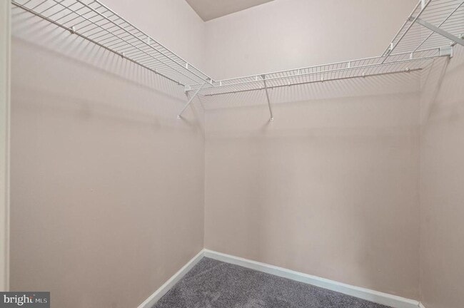 Building Photo - 1408 Black Walnut Dr