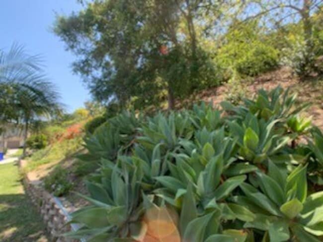 Building Photo - Amazing Carlsbad Home with extra room down...