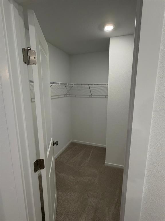 Building Photo - 527 ARTEMIS St