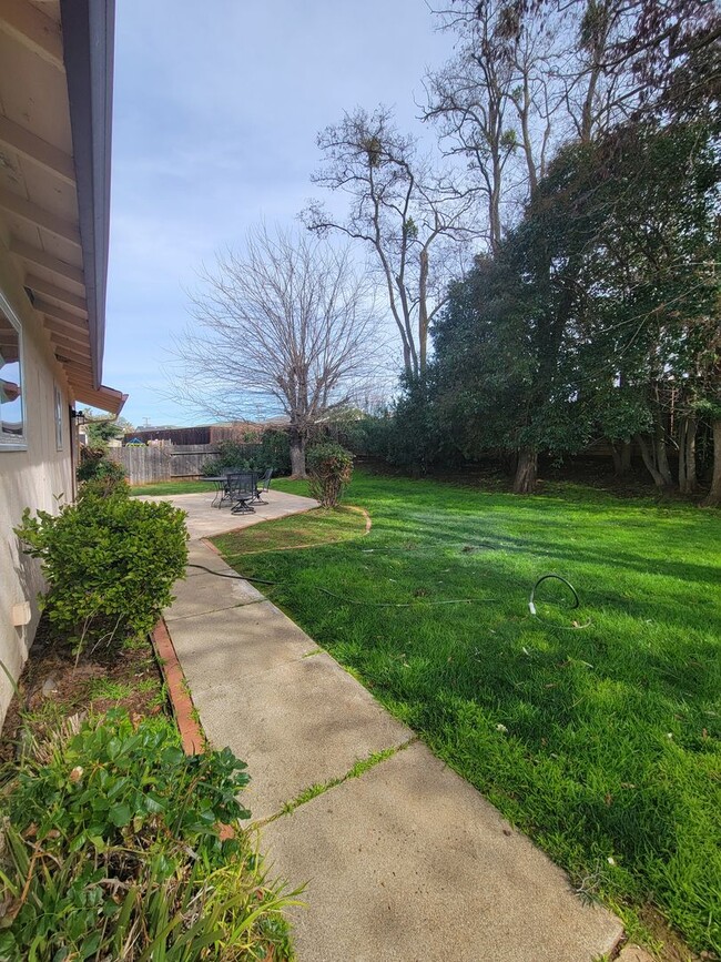 Building Photo - Clayton Valley Highlands Home