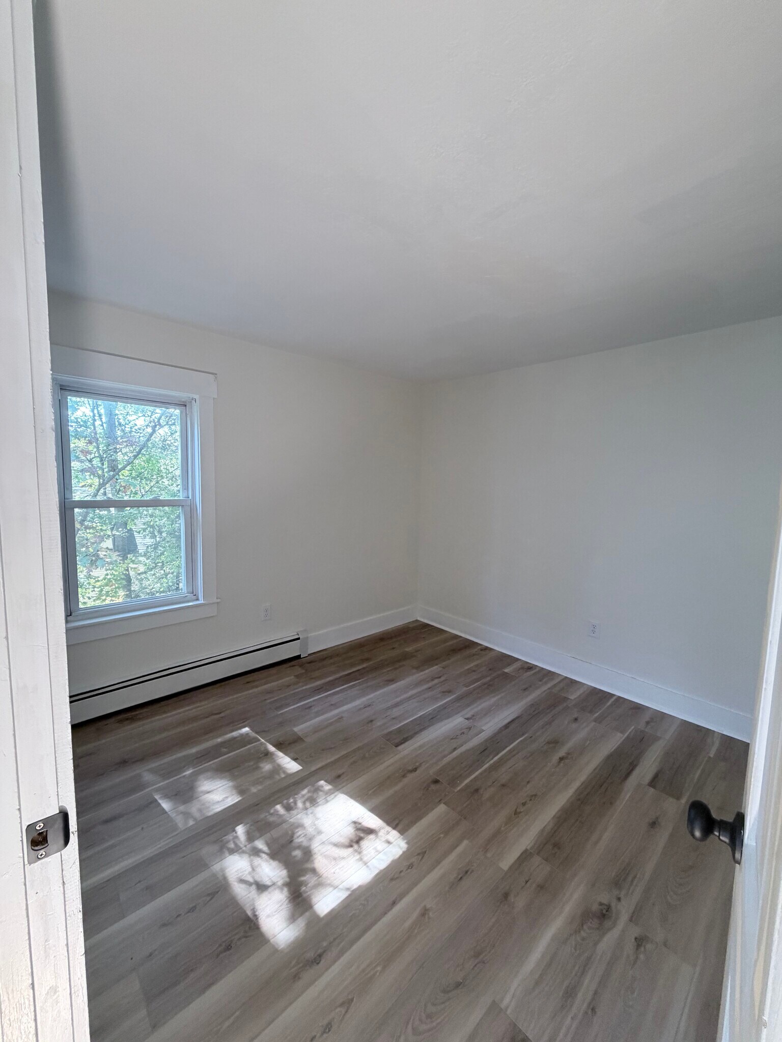 Downstairs Bedroom - 221 Baldwin St