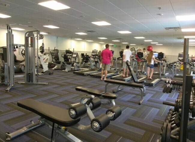 Building Photo - 5438 Verona Dr