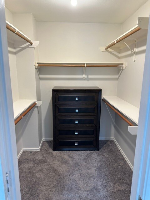 Building Photo - 505 Delmar Ave