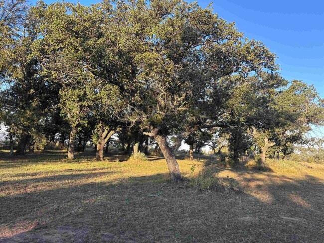 Building Photo - 118 Reed Ranch Rd