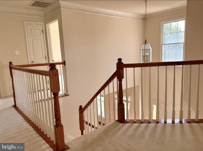 Building Photo - 43520 Lucketts Bridge Cir