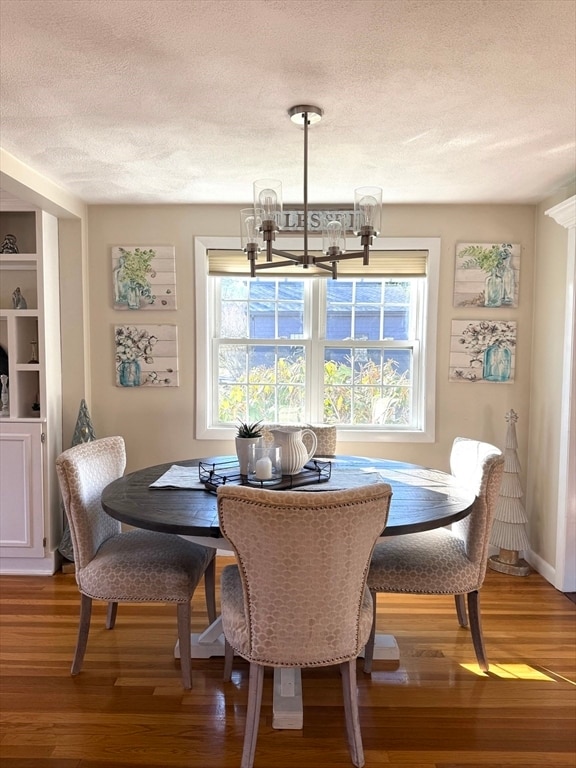 Building Photo - 5 Fred St