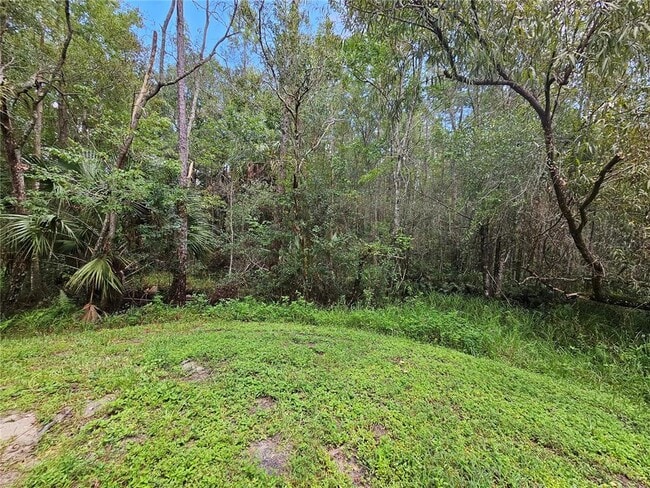 Building Photo - 16309 Fairford Palms Ct