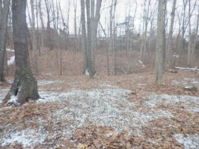 Building Photo - 244 Meadowview Dr