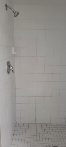 Master Shower - 960 Starkey Rd
