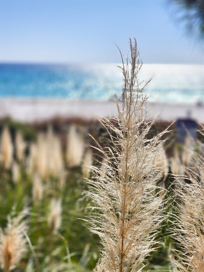 Building Photo - 11832 Front Beach Rd