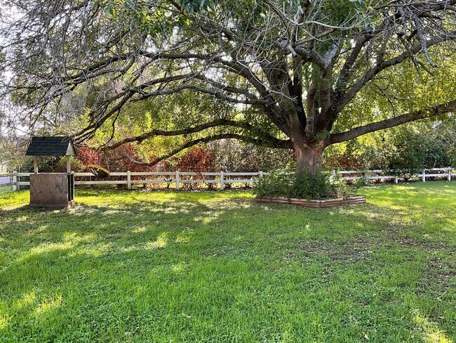 Building Photo - **Coming Soon** Gorgeous 3 Bedroom 2 Bath ...