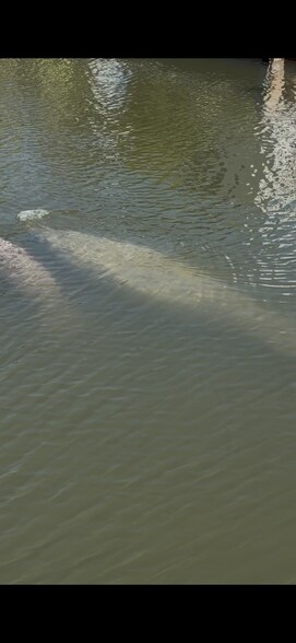 Building Photo - 11 Flamingo Rd