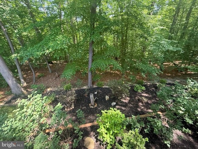 Building Photo - 7801 Cliffside Ct