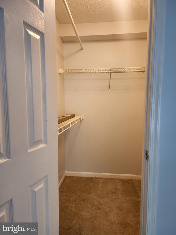 Building Photo - 613 Himes Ave