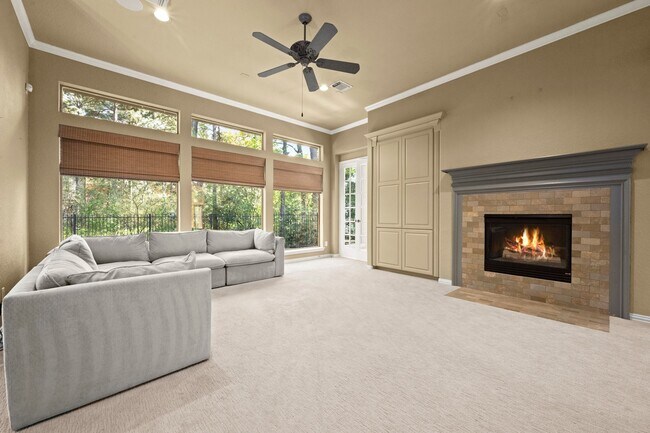 Building Photo - 14 Mystic Pines Ct