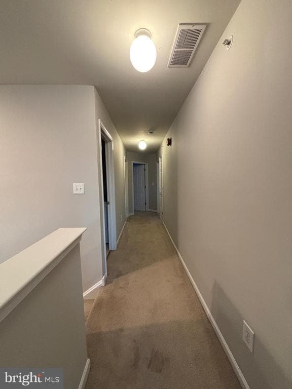 Building Photo - 113 Turnhill Ct