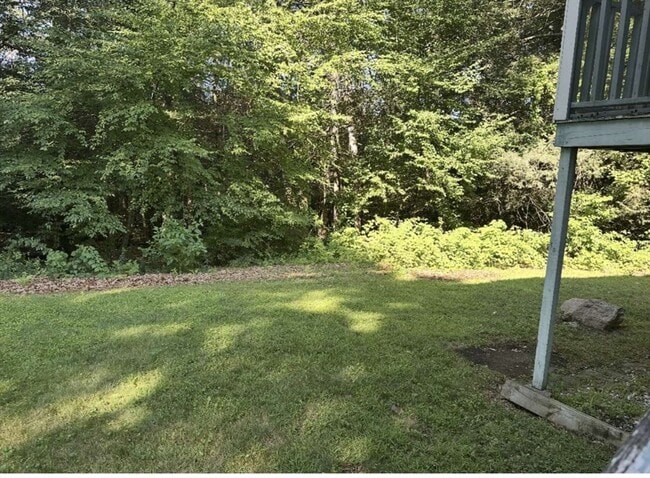 Building Photo - 11 Byard Ln