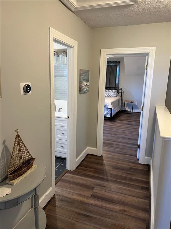 Building Photo - 223 Oliphant Ln