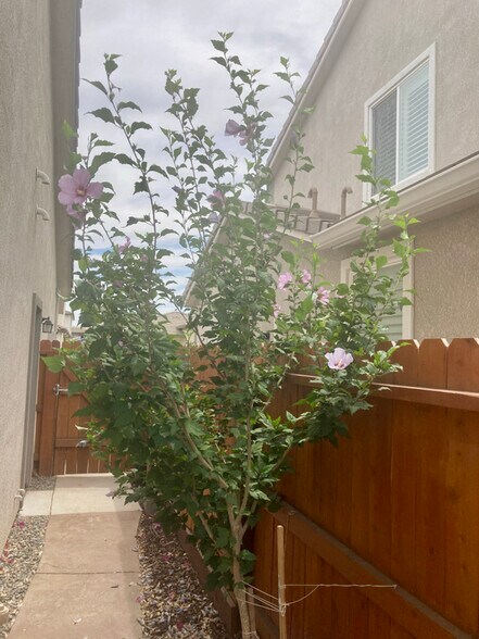 Building Photo - 3213 Showcase Way