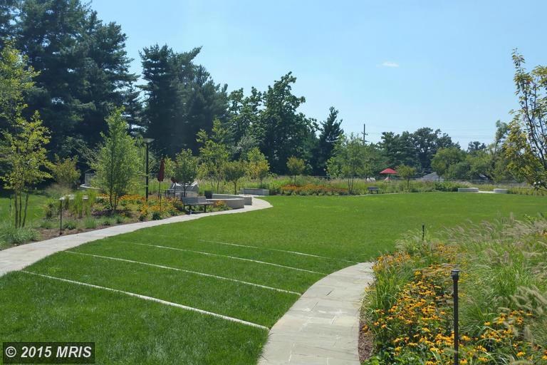 Garden landscape - 5101 River Rd