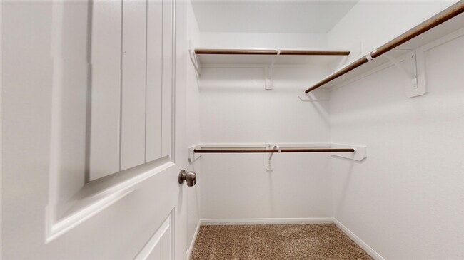 Building Photo - 3535 Cannon Dr