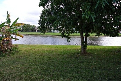 Building Photo - 6224 Country Fair Cir