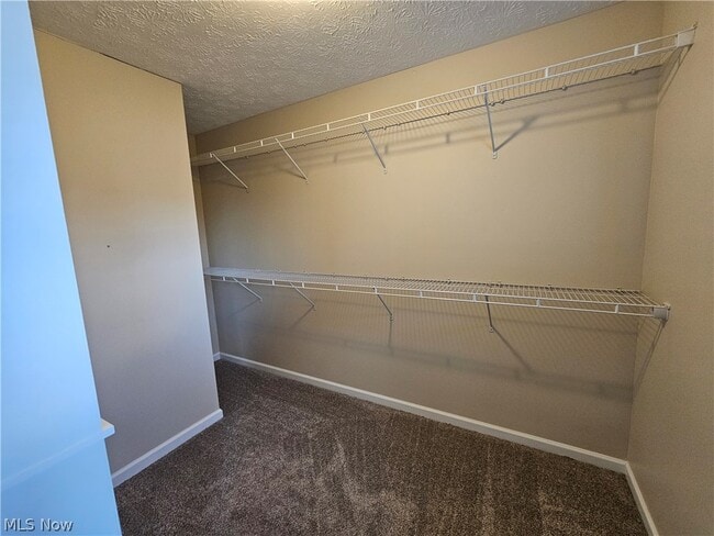 Building Photo - 687 Brookside Ln