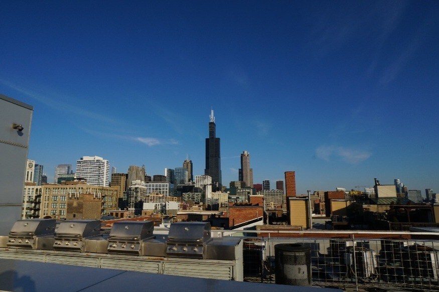 Roof Deck - Grill Area - 933 W Van Buren St
