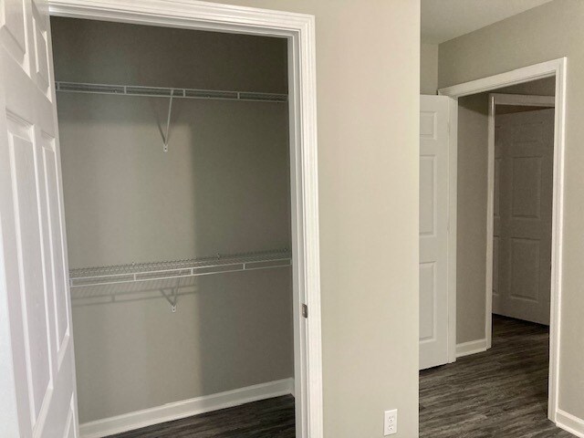 Rear Bedroom Closet (huge) - 1223 E Waldburg St