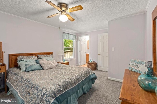 Building Photo - 11601 Jester Way