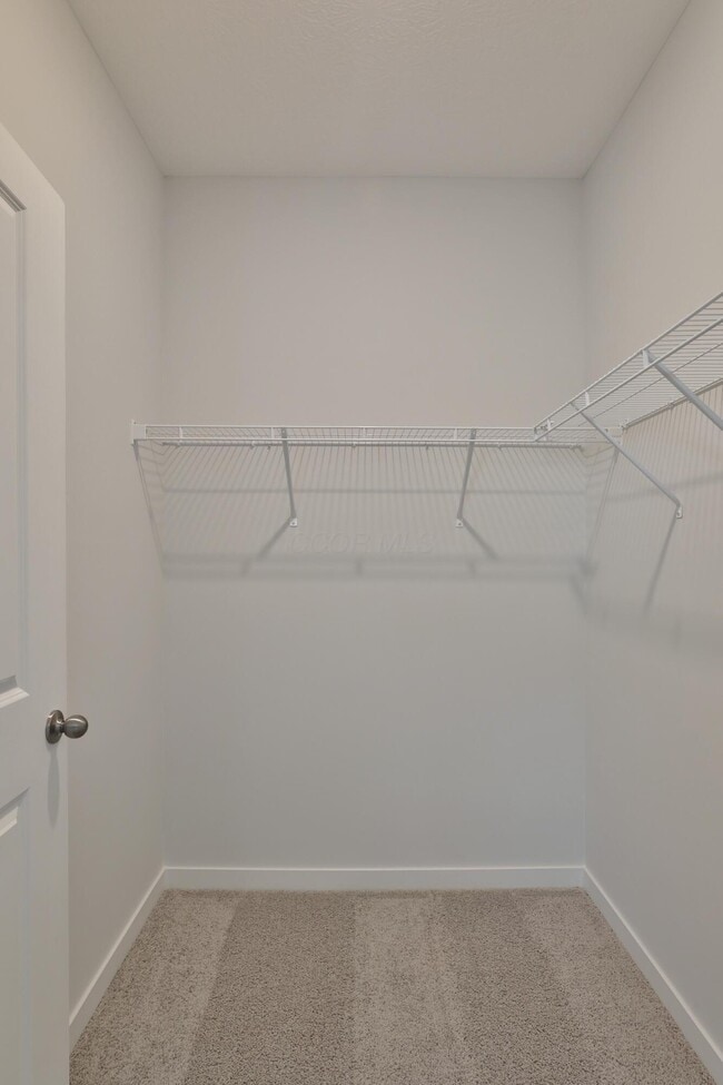Building Photo - 738 Maria Dr